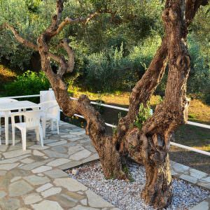 Skopelos Kalokairi Cottage