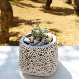 Skopelos Kalokairi Cottage