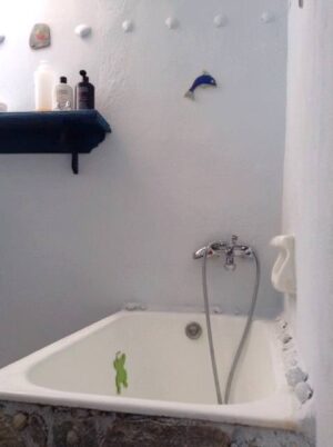 Skopelos Lovely Home Glossa