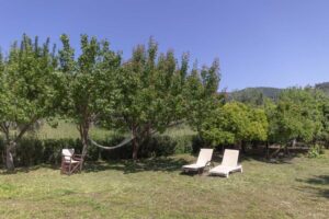 Skopelos Olivetree Private Villa Chora Houses