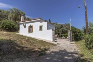 Skopelos Olivetree Private Villa Chora Houses