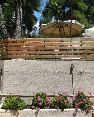 Skopelos Pine Trees Agnontas