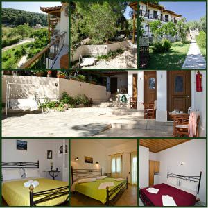 Skopelos Pine Trees Agnontas