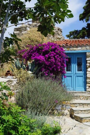 Skopelos Secret Garden Cottage