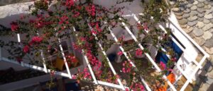 Skopelos Townhouse House Number