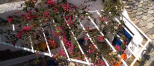 Skopelos Townhouse House Number