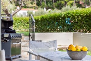 Skopelos Villa Aelia With Private Pool Big Apartments