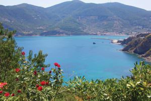 Skopelos Pool Villa Elena