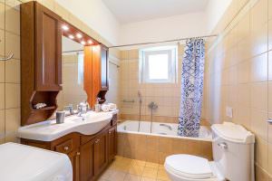 Skopelos Pool Vila Geraki