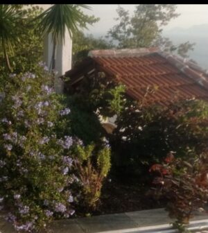 Skopelos Pool Villa Accommodation
