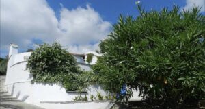 Skopelos Pool Villa Accommodation