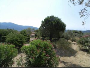 Skopelos Pool Villa Accommodation