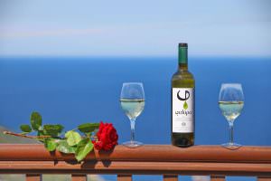 Skopelos Pool Villa Margini