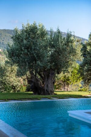 Skopelos Orion Stargaze Villas