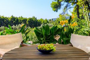 Skopelos Cute Pine Trees Villa With A Private Pool