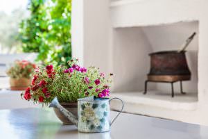 Skopelos Cute Pine Trees Villa With A Private Pool