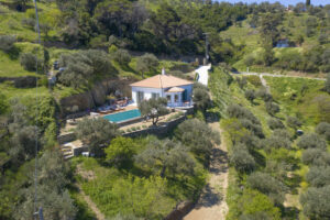 Skopelos Villa Avgi Sunrise Area Pool Sea View