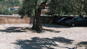 Skopelos Villa Maro, Pool Villas