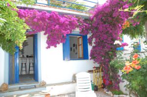Skopelos Villa Olivia Palio Klima