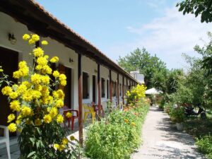 Skopelos Oasis Rooms