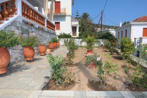 Skopelos Villa Akrothea