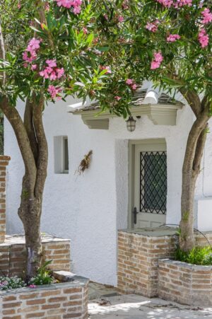 Skopelos Archodiko Palio Klima