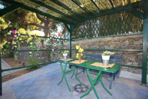 Skopelos Villa Elektra