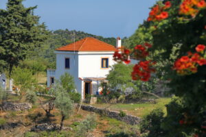 Skopelos Villa Pefkias