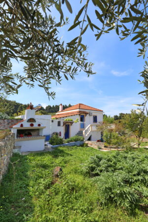 Skopelos Villa Pefkias