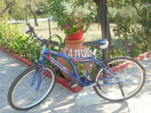 Skopelos Villa Sandra 10