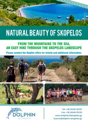 Skopelos Dolphin Of Tourist Office Travel Agency